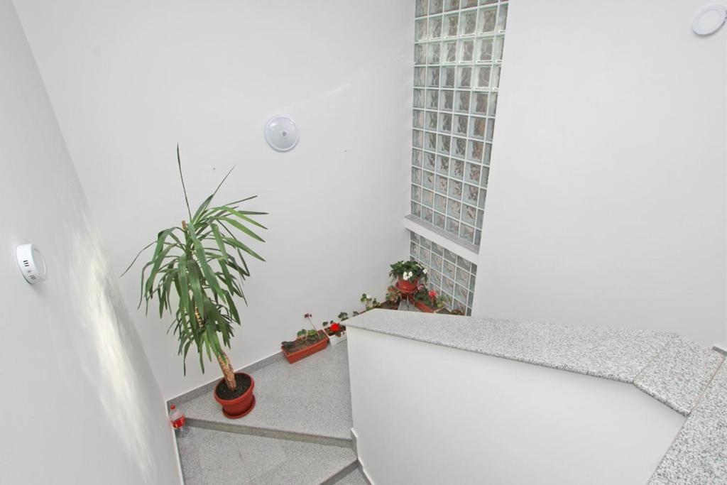 Imas Apartment Sarajevo Eksteriør bilde