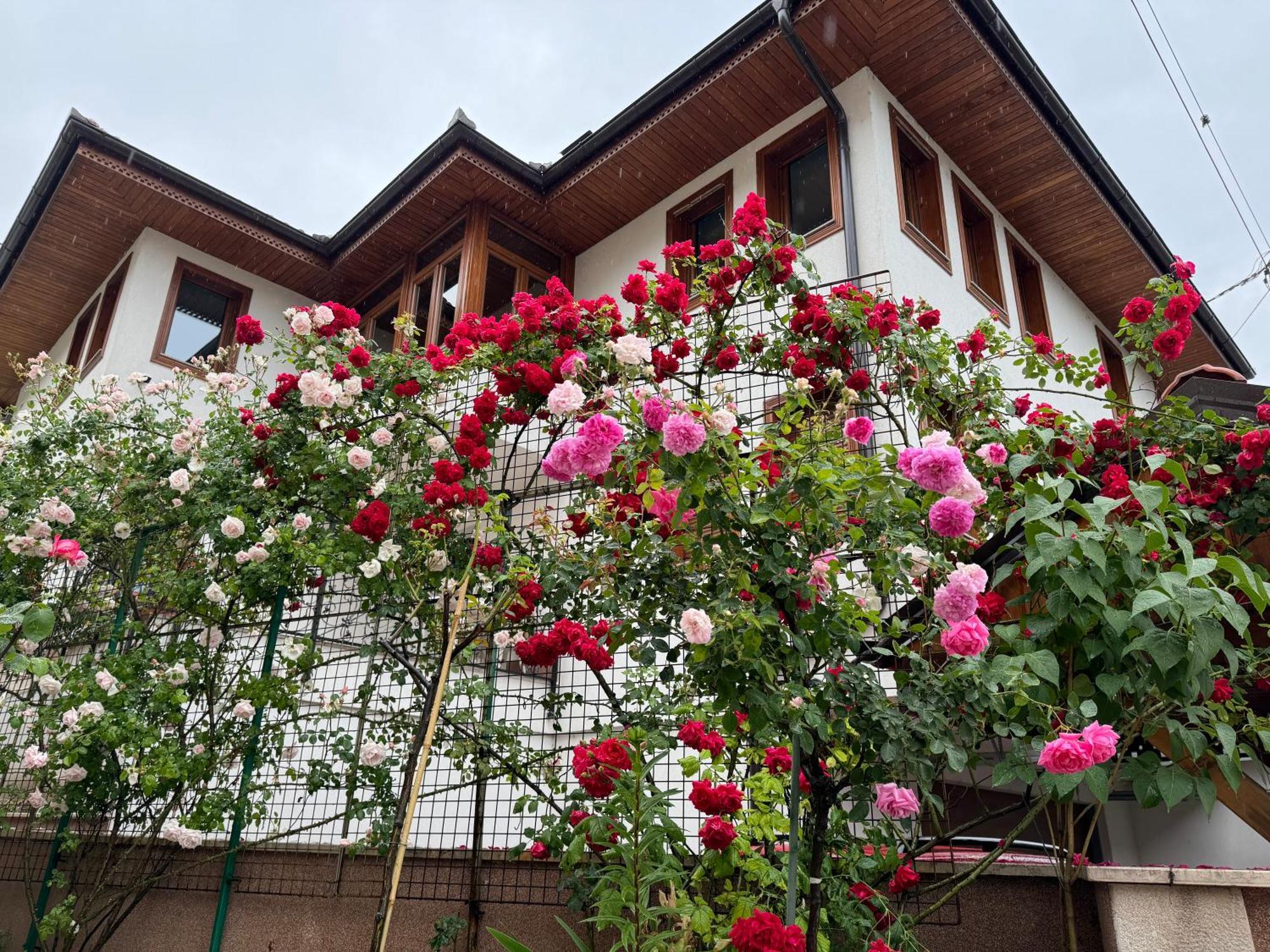 Imas Apartment Sarajevo Eksteriør bilde